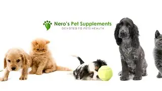 Natural Pet Supplement Online store