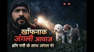 रात में जंगल से रहस्यमई आवाज़ 😱 | Dog Puppy ke Saath Jungle Search | Real Vlog