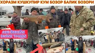 АСЛ ЁВВОЙИ БАЛИК ТУШДИ ХОРАЗМ КУШКУПИР КУМ БОЗОР БАЛИК БОЗОРИ НАРХЛАР АРЗОН БУЛДИ ЯНА 27-ДЕКАБРЯ.
