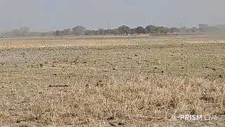LIVE:stage1  Guru-Nanak Rally 2025🇹🇿