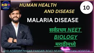 MALARIA DISEASE/HUMAN HEALTH AND DISEASE#neetncert#neetshort#neet2025#neetbiology#ncert#marathi#bio