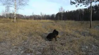 DSCN0759