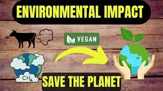 The Environmental Impact of Meat and Dairy: Why Veganism Can Save the Planet 🐄🌎