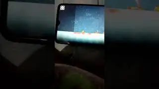 gcgf
