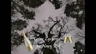Leśne Życzenia na Nowy Rok