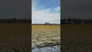 Smart Goose
