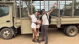 OUR EXPERIENCE AT LION PARK AND SAFARI - Johannesburg