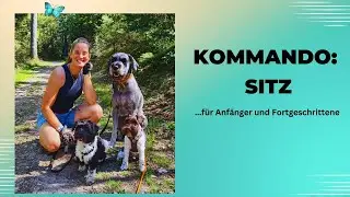 Kommando: Sitz - Anf&auml;nger und Fortgeschrittene