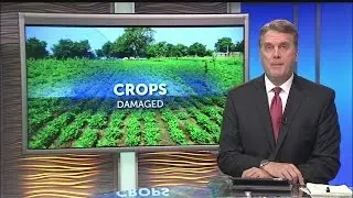 ro crop damage