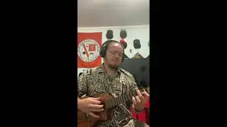 ROCKY THEME Gonna Fly Now ~ Anthony Stanley (Ukulele Cover)