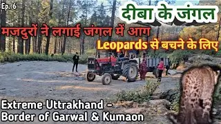 दीबा के जंगल - मजदुरों ने लगाई आग Leopards से बचने के लिए | Border of Garwal & Kumaun Pauri - Almora