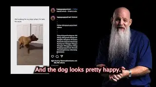 HYPER ACTIVE DOG? - John Flano comments on viral dog videos