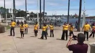 2018 shimmy mob