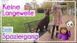 ♡ Milka Mittwoch ♡ Keine Langeweile beim Spaziergang ♡ KaroLovesMilka