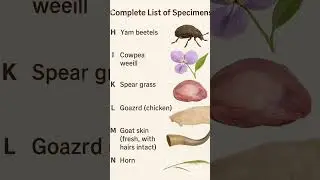 WAEC 2025 Agricultural science Practical &ndash; No Cramming, Just Clear Learning.#WAECPrep#StudySmart