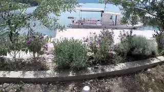 Excursion bestija Konoba mali ante Blace mb bestia