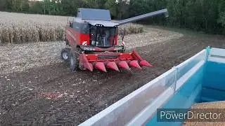 Moisson de Ma&iuml;s 2019