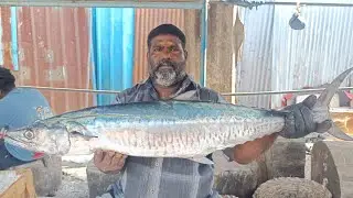 Kasimed minnal Raja vanjaram fish cutting video #rkfishcutting 