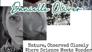 Misinformation About Resin and Preserved Snowflakes Explained