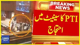 Huge Protest in Senate Against Arrest of PTI Women Workers | Breaking News | Dawn News