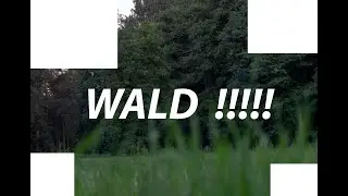 One-Pack im Wald #FPVHH