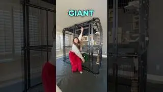This took 5 Hours