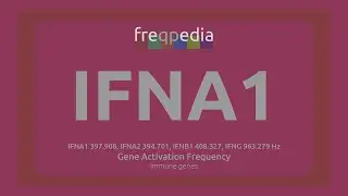 IFNA1 (antimicrobial and antiviral immunity) Gene Activation Frequency