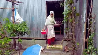 দুপুর বেলা বৃষ্টির সময় রান্না লাল শাকের ঝোল ঢেরস বিলাতি আলুর ভাজি