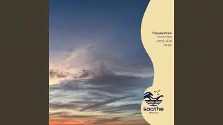 Flowmotion