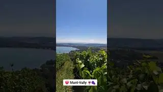 Mont-Vully  #rebberge #wein #mont-vully #beautifulview #murtensee #switzerland