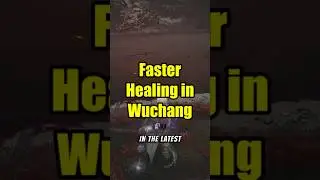 New Wuchang Fallen Feathers Patch Speeds Up Healing Animation