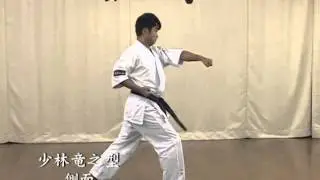 少林竜之型