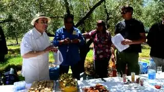 Recette de Saumon confit accompagn&eacute; de l'huile d'olive du moulin de Villevieille