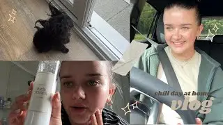 spend the day at home with me | living alone vlog