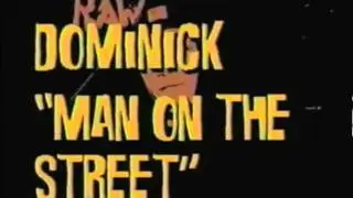 Brooklyn Dom.. MTV VJ