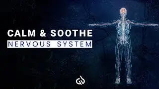 Nervous System Healing Frequency: Binaural Beats to Calm Nervous System