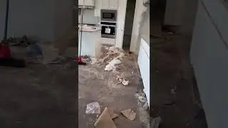 Move-In Cleaning & Deep Cleaning Services