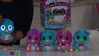 Hatchimals Hatchibabies Choice of Ponette or Cheetree on QVC