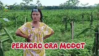 Balada Mas Cit | Episode 1. Perkoro Ora Modot