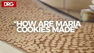 F&aacute;brica Coelho - How Are Maria Cookies Made