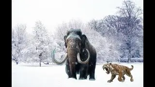 Unbelievable! Realistic AI generated Sabertooth Cat Encounter with Wooly Mammoth Video with Animals