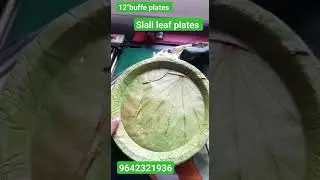 #panipuri #trending shorts  #disposable items  #Siali leaf #sal leaf #nature #eco-friendly products