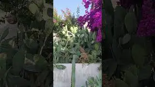 Греция Халкидики Секия
