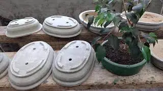 VIVERO LOS BONSÁI:  Modelos: macetas bonsái de cemento..