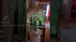 Elephant Man gives tour of his house