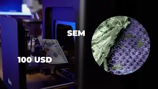 $100 under electron microscope (SEM)