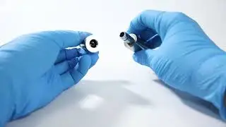 Dental Hygiene Prophy Low Speed Air Motor Handpiece 4:1 Reduction 4 Hole