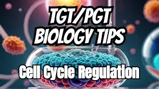 UNCOVER the Hidden Secrets of Cell Cycle Regulation!