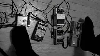 Jesse Langen - Music for Peacock Spider