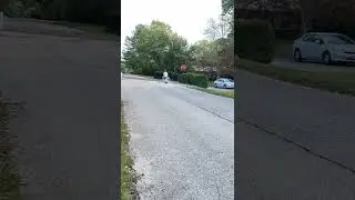 Li150 Special Riding